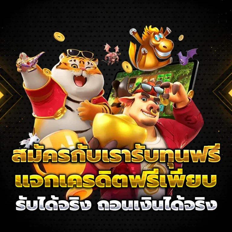 vp11 เว็บตรง